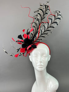 RED, BLACK AND WHITE LADY AMHERST FASCINATOR.