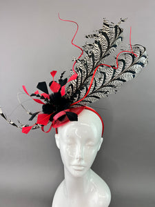 RED, BLACK AND WHITE LADY AMHERST FASCINATOR.