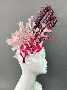 FUCHSIA PINK LADY AMHERST WITH LIGHT PINK FASCINATOR