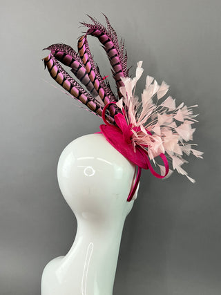 FUCHSIA PINK LADY AMHERST WITH LIGHT PINK FASCINATOR