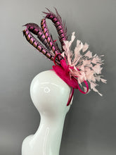 Load image into Gallery viewer, FUCHSIA PINK LADY AMHERST WITH LIGHT PINK FASCINATOR