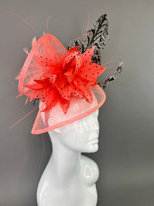 CORAL FASCINATOR WITH BLACK AND WHITE FEATHER