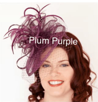 THE BRYNLEE FASCINATOR - The Hat Hive