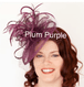 Plum Purple