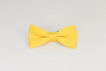 Load image into Gallery viewer, Yellow Bow Tie