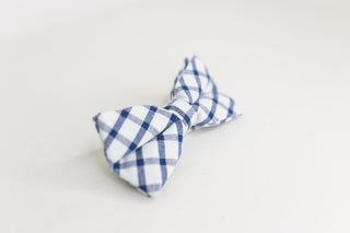 Blue and White Plaid Bow Tie