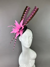 Load image into Gallery viewer, BLACK WITH CANDY PINK LADY AMHERST FEATHERS