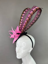 Load image into Gallery viewer, BLACK WITH CANDY PINK LADY AMHERST FEATHERS