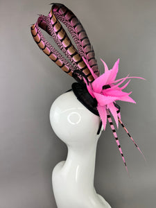BLACK WITH CANDY PINK LADY AMHERST FEATHERS