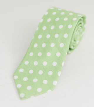 PASTEL GREEN POLKA DOT NECK TIE - The Hat Hive