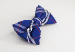 ROYAL BLUE RED AND WHITE PLAID BOW TIE - The Hat Hive