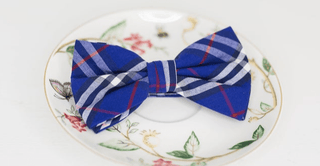 ROYAL BLUE RED AND WHITE PLAID BOW TIE - The Hat Hive