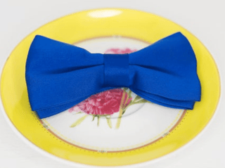 SOLID BOW TIES - The Hat Hive