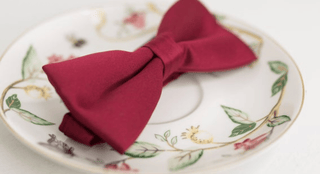 SOLID BOW TIES - The Hat Hive