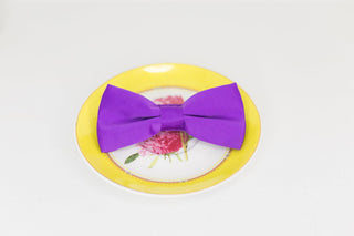 SOLID PURPLE BOW TIE - The Hat Hive